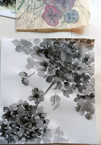 20251119 120519-Kopie